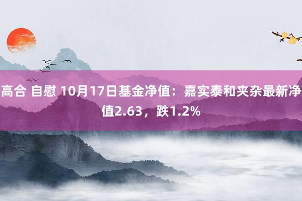 高合 自慰 10月17日基金净值：嘉实泰和夹杂最新净值2.63，跌1.2%