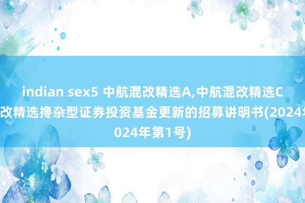 indian sex5 中航混改精选A,中航混改精选C: 中航混改精选搀杂型证券投资基金更新的招募讲明书(2024年第1号)
