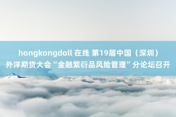 hongkongdoll 在线 第19届中国（深圳）外洋期货大会“金融繁衍品风险管理”分论坛召开