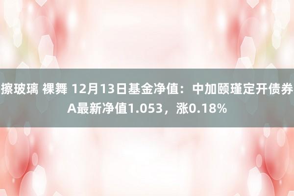 擦玻璃 裸舞 12月13日基金净值：中加颐瑾定开债券A最新净值1.053，涨0.18%