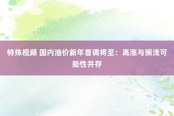 特殊视频 国内油价新年首调将至：高涨与搁浅可能性并存