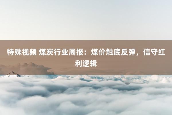 特殊视频 煤炭行业周报:煤价触底反弹,信守红利逻辑