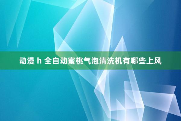 动漫 h 全自动蜜桃气泡清洗机有哪些上风