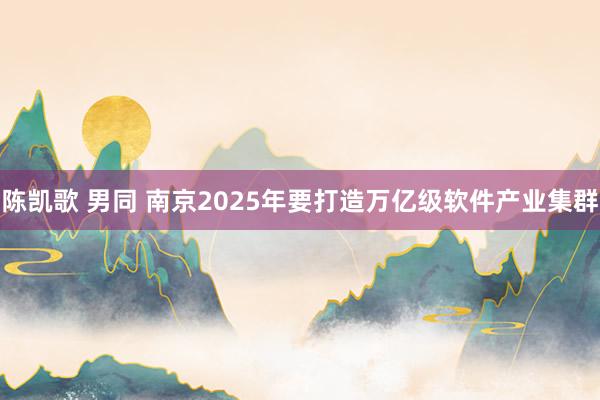 陈凯歌 男同 南京2025年要打造万亿级软件产业集群