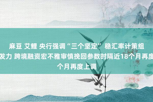 麻豆 艾鲤 央行强调“三个坚定” 稳汇率计策组合拳发力 跨境融资宏不雅审慎挽回参数时隔近18个月再度上调