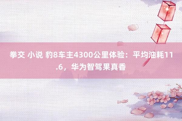 拳交 小说 豹8车主4300公里体验：平均油耗11.6，华为智驾果真香