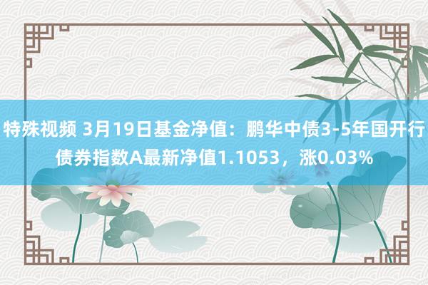 特殊视频 3月19日基金净值：鹏华中债3-5年国开行债券指数A最新净值1.1053，涨0.03%