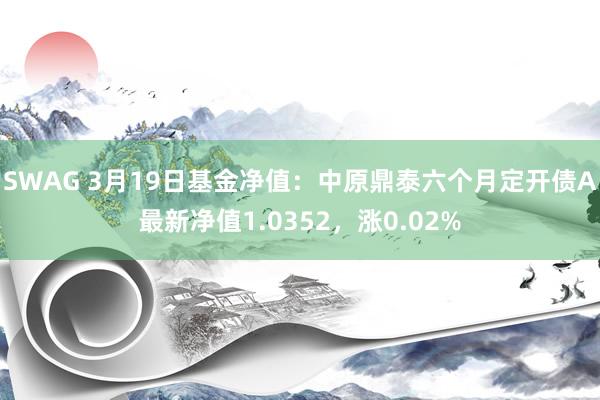 SWAG 3月19日基金净值：中原鼎泰六个月定开债A最新净值1.0352，涨0.02%
