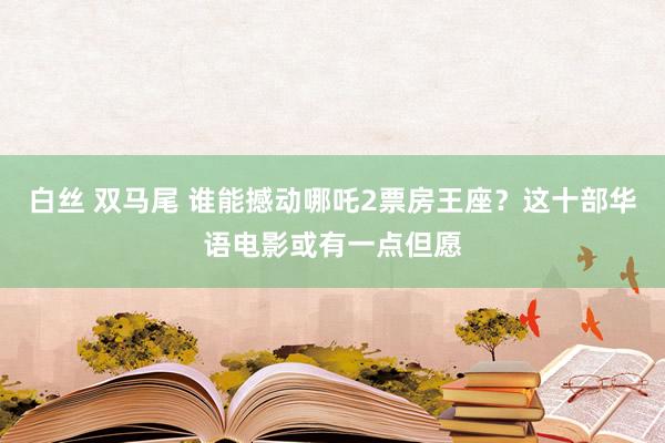 白丝 双马尾 谁能撼动哪吒2票房王座？这十部华语电影或有一点但愿