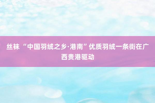 丝袜 “中国羽绒之乡·港南”优质羽绒一条街在广西贵港驱动
