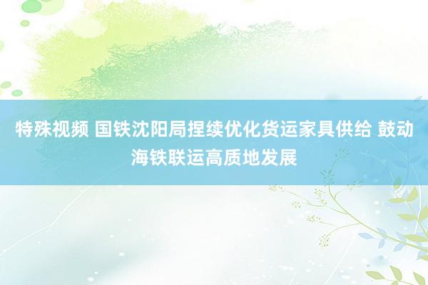 特殊视频 国铁沈阳局捏续优化货运家具供给 鼓动海铁联运高质地发展