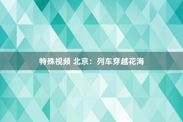 特殊视频 北京：列车穿越花海