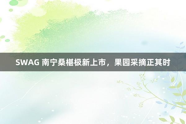 SWAG 南宁桑椹极新上市，果园采摘正其时