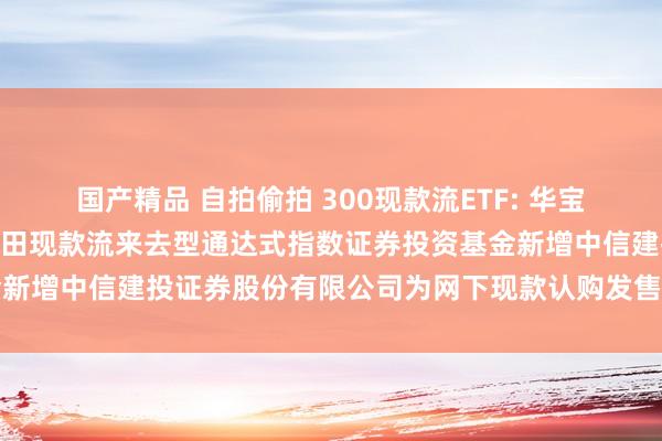 国产精品 自拍偷拍 300现款流ETF: 华宝基金对于华宝沪深300目田现款流来去型通达式指数证券投资基金新增中信建投证券股份有限公司为网下现款认购发售代理机构的公告