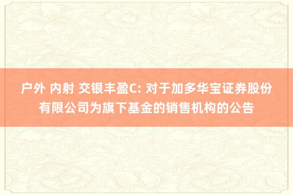 户外 内射 交银丰盈C: 对于加多华宝证券股份有限公司为旗下基金的销售机构的公告