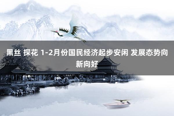 黑丝 探花 1-2月份国民经济起步安闲 发展态势向新向好