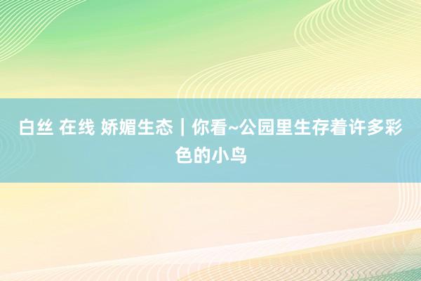 白丝 在线 娇媚生态｜你看~公园里生存着许多彩色的小鸟