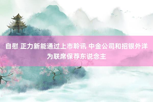 自慰 正力新能通过上市聆讯 中金公司和招银外洋为联席保荐东说念主