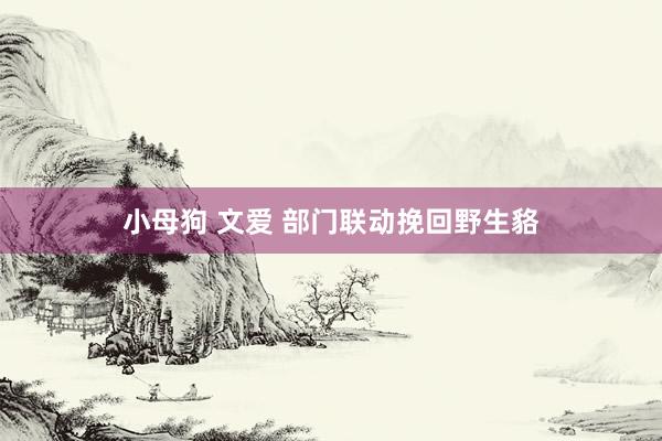 小母狗 文爱 部门联动挽回野生貉