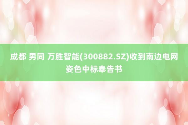 成都 男同 万胜智能(300882.SZ)收到南边电网姿色中标奉告书