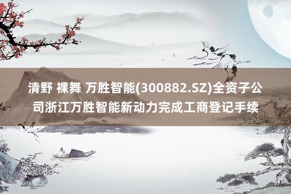 清野 裸舞 万胜智能(300882.SZ)全资子公司浙江万胜智能新动力完成工商登记手续