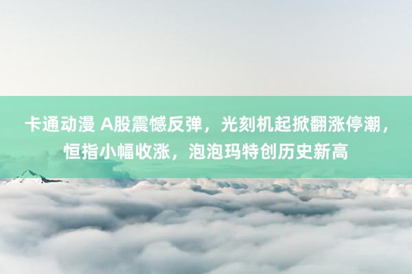 卡通动漫 A股震憾反弹，光刻机起掀翻涨停潮，恒指小幅收涨，泡泡玛特创历史新高