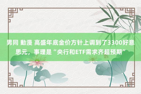 男同 動漫 高盛年底金价方针上调到了3300好意思元，事理是“央行和ETF需求齐超预期”