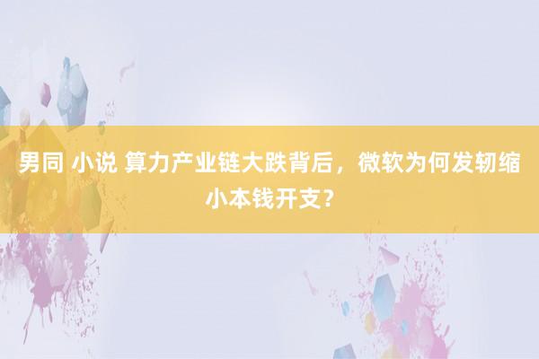 男同 小说 算力产业链大跌背后，微软为何发轫缩小本钱开支？