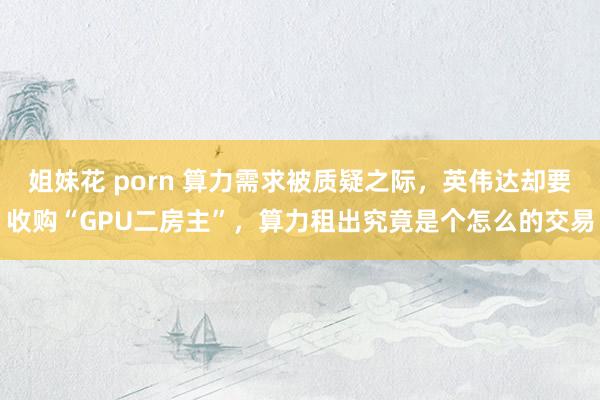 姐妹花 porn 算力需求被质疑之际，英伟达却要收购“GPU二房主”，算力租出究竟是个怎么的交易