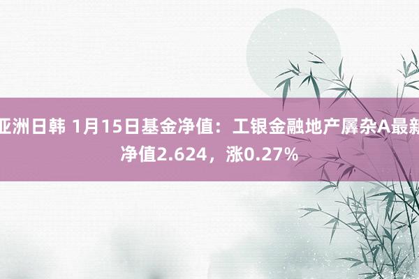 亚洲日韩 1月15日基金净值：工银金融地产羼杂A最新净值2.624，涨0.27%