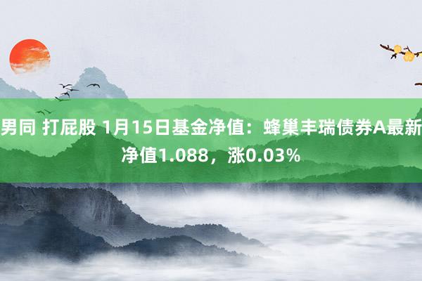 男同 打屁股 1月15日基金净值：蜂巢丰瑞债券A最新净值1.088，涨0.03%