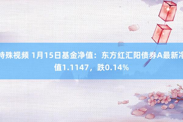 特殊视频 1月15日基金净值：东方红汇阳债券A最新净值1.1147，跌0.14%