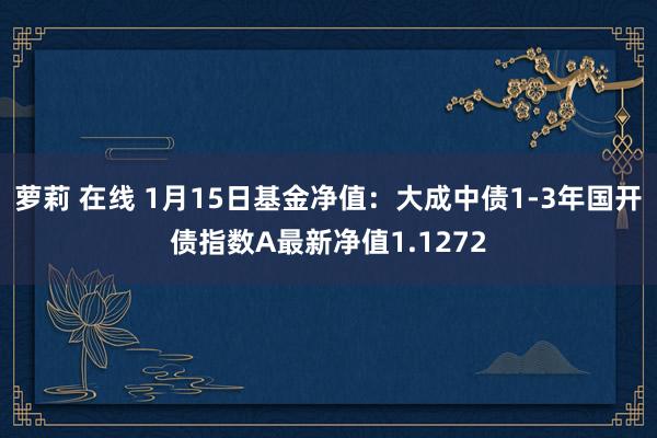 萝莉 在线 1月15日基金净值：大成中债1-3年国开债指数A最新净值1.1272