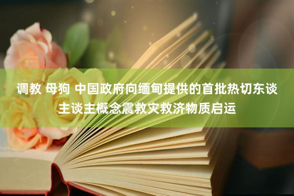 调教 母狗 中国政府向缅甸提供的首批热切东谈主谈主概念震救灾救济物质启运