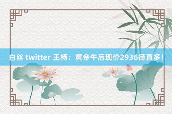 白丝 twitter 王杨：黄金午后现价2936径直多！