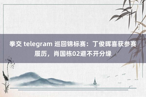 拳交 telegram 巡回锦标赛：丁俊晖喜获参赛履历，肖国栋02避不开分缘