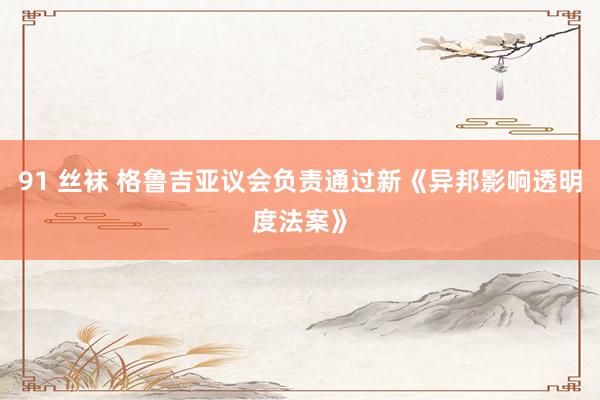 91 丝袜 格鲁吉亚议会负责通过新《异邦影响透明度法案》