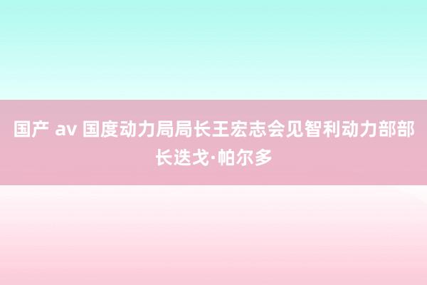 国产 av 国度动力局局长王宏志会见智利动力部部长迭戈·帕尔多