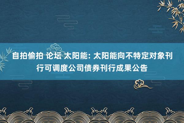 自拍偷拍 论坛 太阳能: 太阳能向不特定对象刊行可调度公司债券刊行成果公告