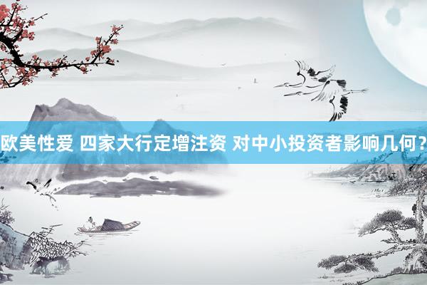 欧美性爱 四家大行定增注资 对中小投资者影响几何？