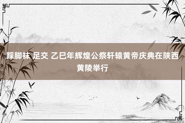 踩脚袜 足交 乙巳年辉煌公祭轩辕黄帝庆典在陕西黄陵举行