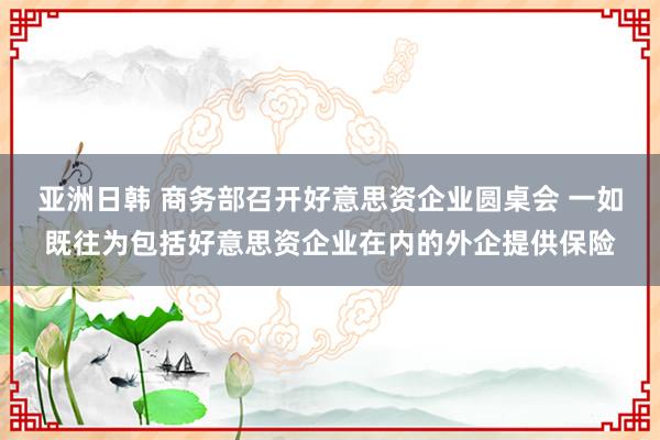 亚洲日韩 商务部召开好意思资企业圆桌会 一如既往为包括好意思资企业在内的外企提供保险