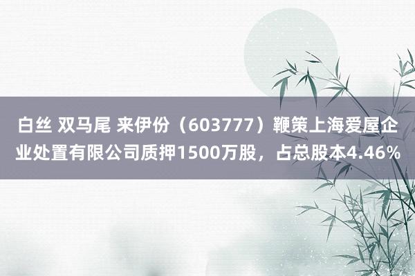 白丝 双马尾 来伊份（603777）鞭策上海爱屋企业处置有限公司质押1500万股，占总股本4.46%