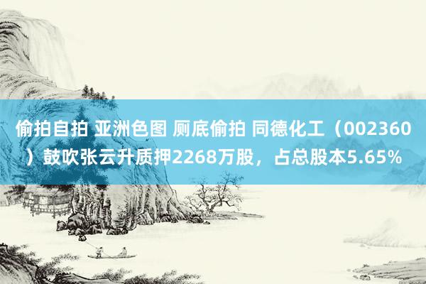 偷拍自拍 亚洲色图 厕底偷拍 同德化工（002360）鼓吹张云升质押2268万股，占总股本5.65%