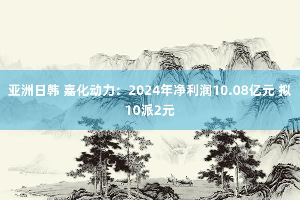 亚洲日韩 嘉化动力：2024年净利润10.08亿元 拟10派2元