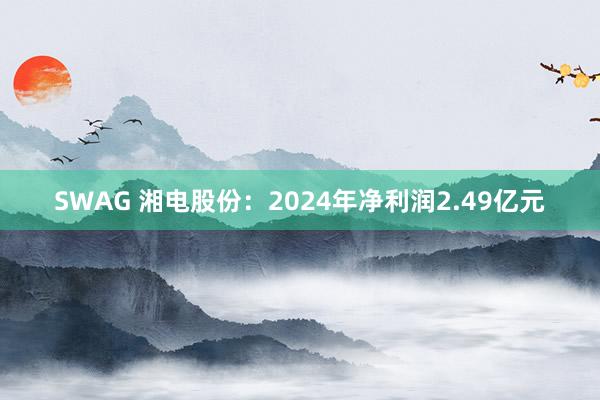 SWAG 湘电股份：2024年净利润2.49亿元