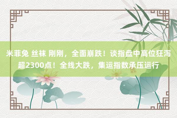 米菲兔 丝袜 刚刚，全面崩跌！谈指盘中高位狂泻超2300点！全线大跌，集运指数承压运行