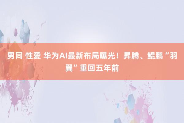 男同 性愛 华为AI最新布局曝光！昇腾、鲲鹏“羽翼”重回五年前
