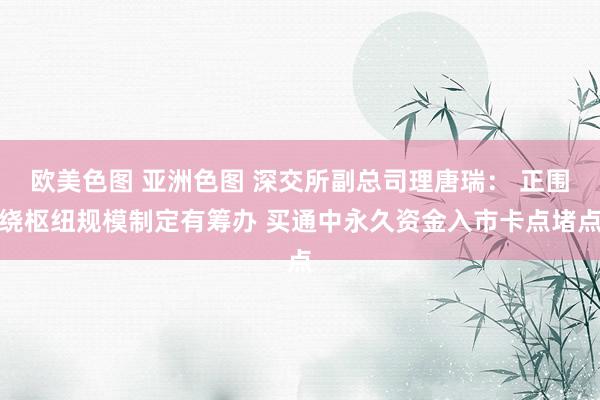 欧美色图 亚洲色图 深交所副总司理唐瑞： 正围绕枢纽规模制定有筹办 买通中永久资金入市卡点堵点