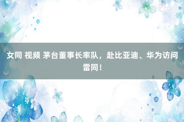女同 视频 茅台董事长率队，赴比亚迪、华为访问雷同！